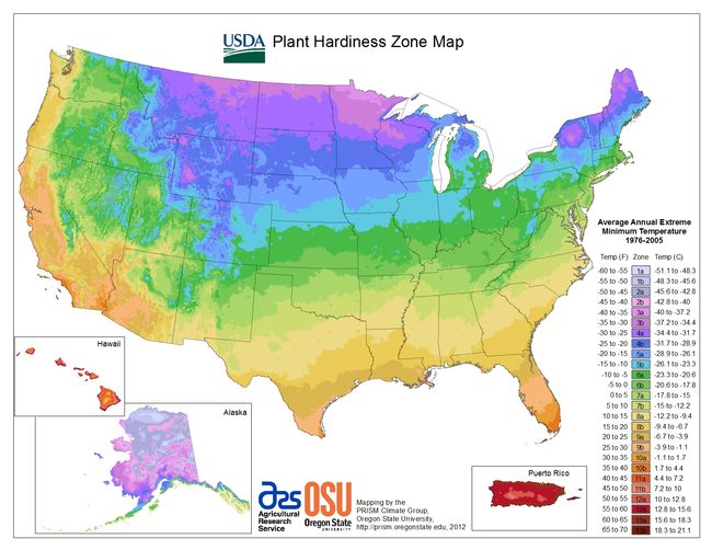 USDA Hardiness Zone Map And Lookup