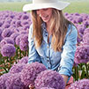 Giant Allium