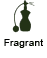 Fragrant