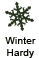 Winter Hardy